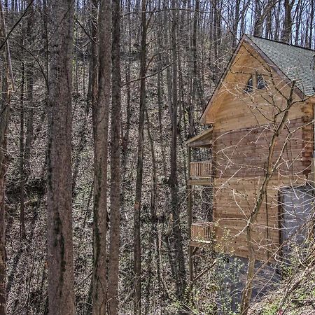 The Phoenix Cabin With Hot Tub In Gatlinburg! Exterior photo